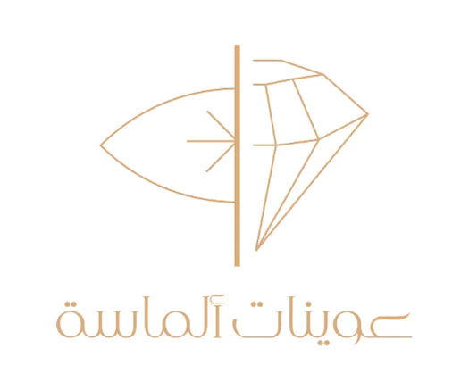 من نحن 13 17